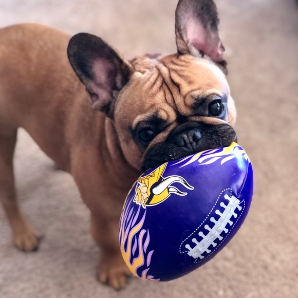 Meet your Posher, Tracy - Picture 7 of 15